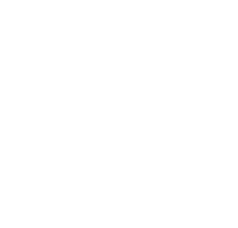 shape_not_found